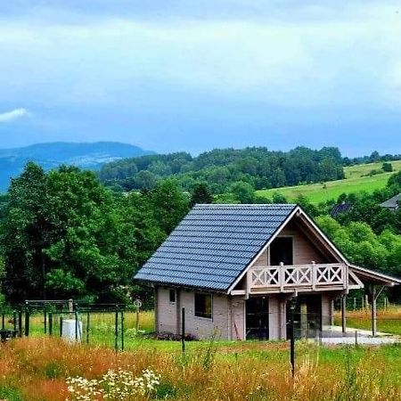 Domek Pod Ostoja Gory Sowie Lomnica  Zewnętrze zdjęcie