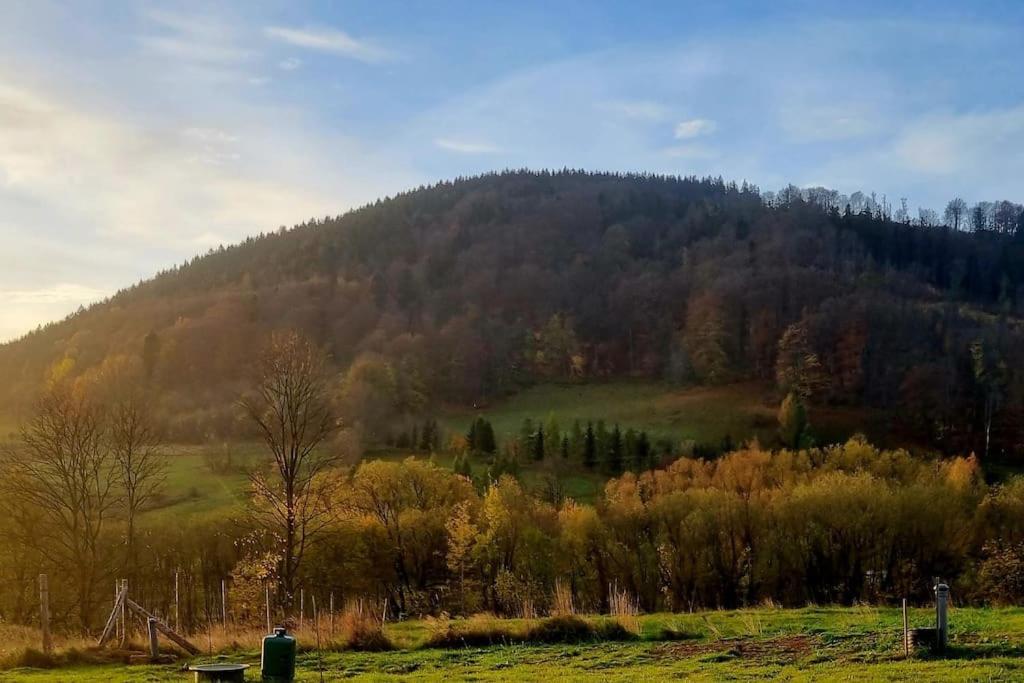 Domek Pod Ostoja Gory Sowie Lomnica  Zewnętrze zdjęcie