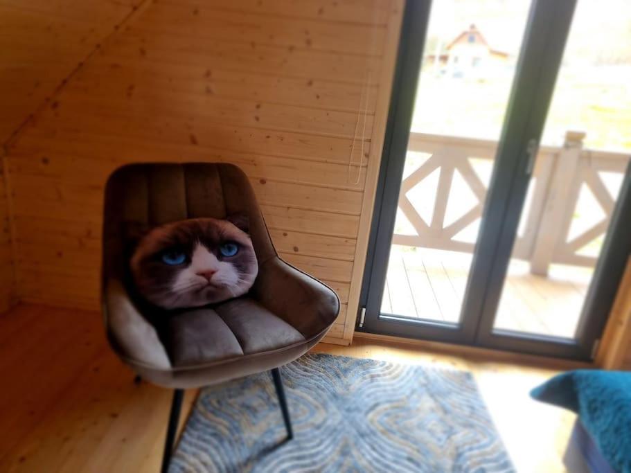 Domek Pod Ostoja Gory Sowie Lomnica  Zewnętrze zdjęcie