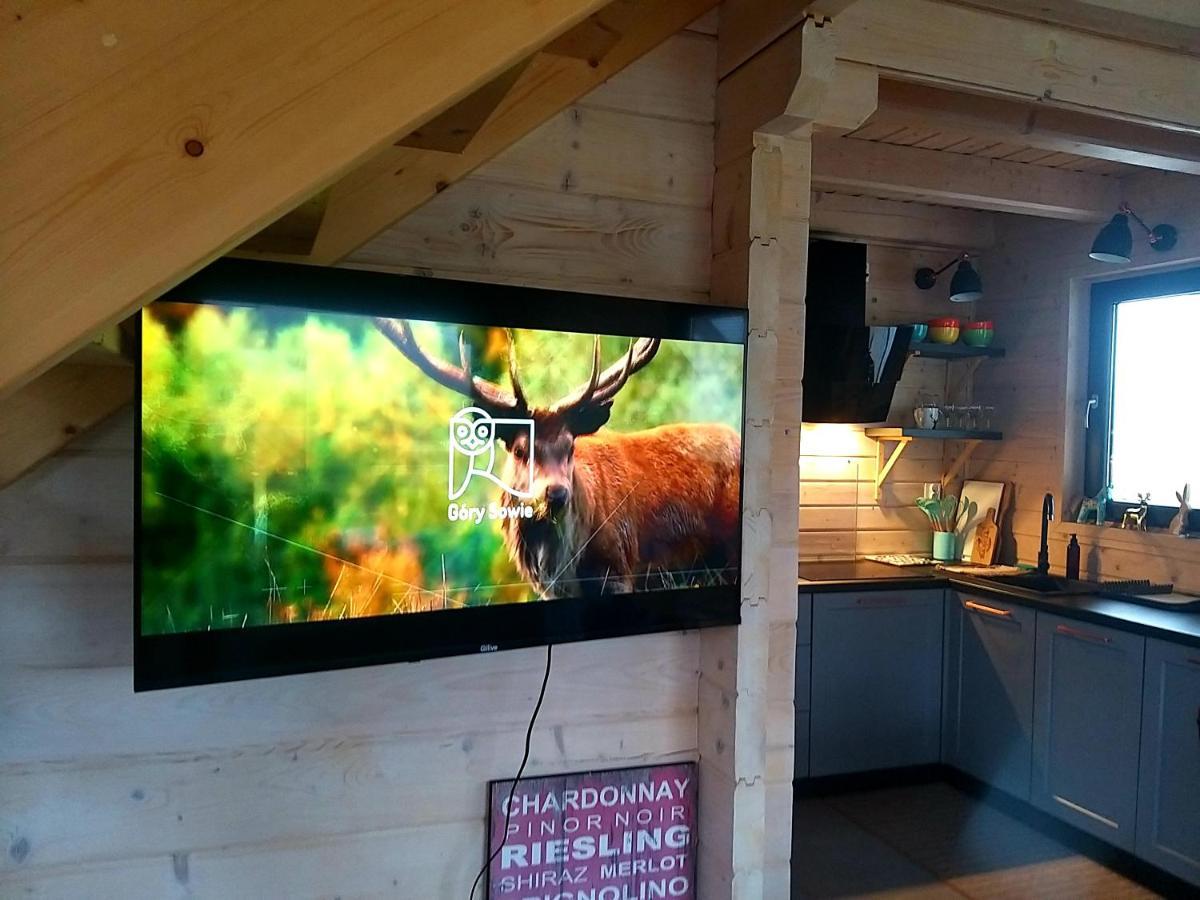 Domek Pod Ostoja Gory Sowie Lomnica  Zewnętrze zdjęcie